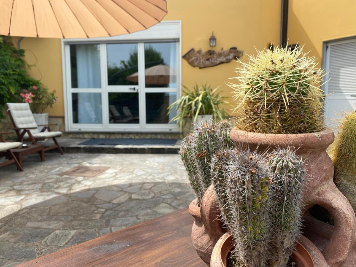 B&B Il Giardino Di Armida Ogliastro Cilento Εξωτερικό φωτογραφία