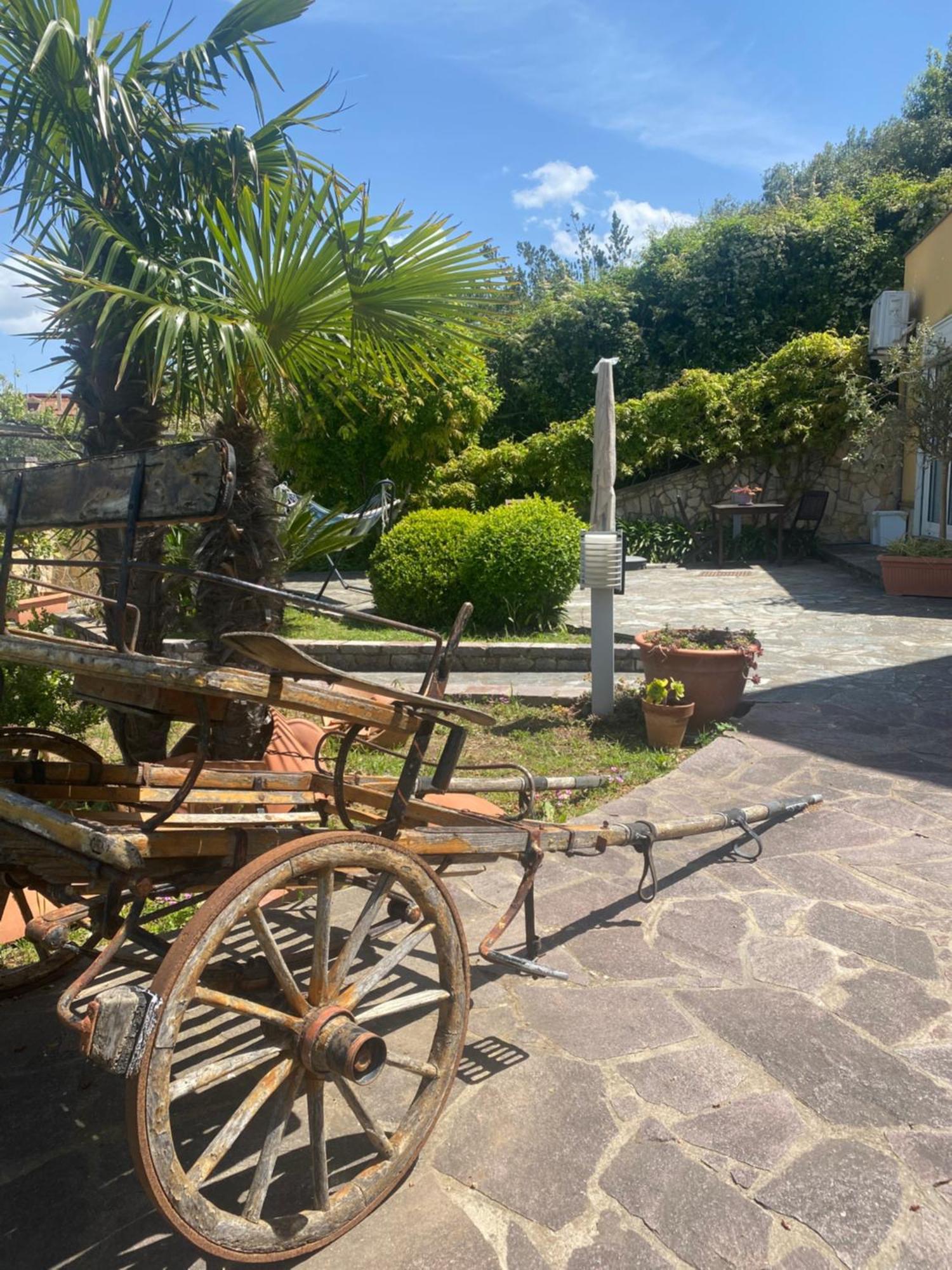 B&B Il Giardino Di Armida Ogliastro Cilento Εξωτερικό φωτογραφία